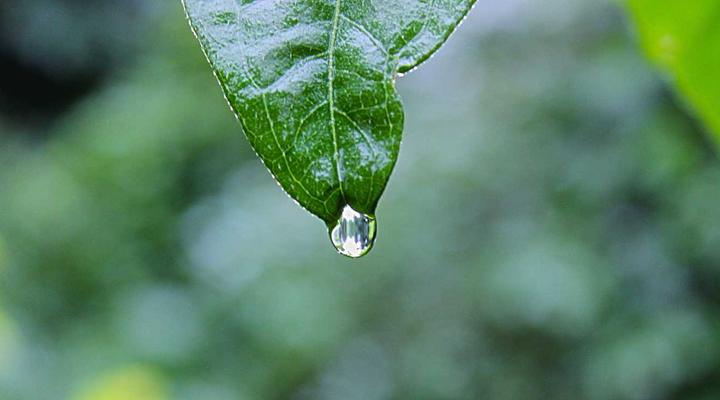 Appendicite enfant douleur abdominale